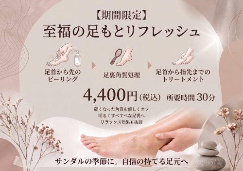 ✨期間限定特別メニュー✨