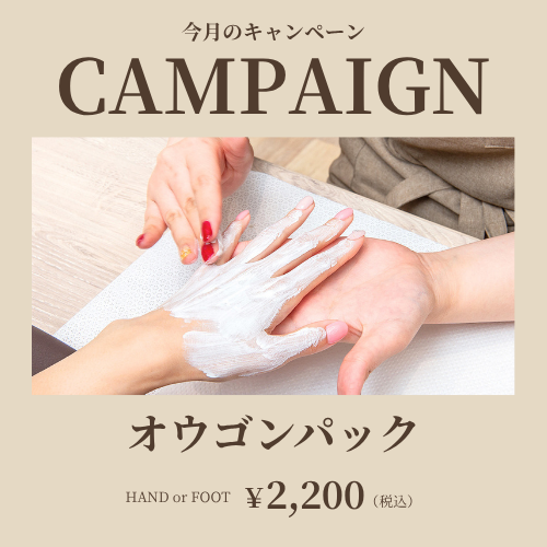 今月のおすすめメニュー【オウゴンパック】