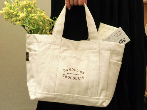 Canvas Mini Tote Bag