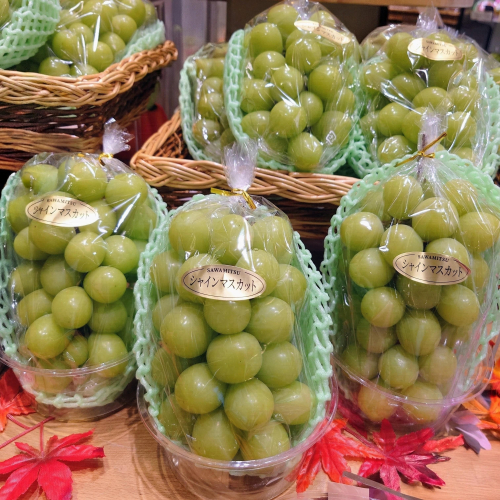 山梨県産『シャインマスカット』試食販売🍇