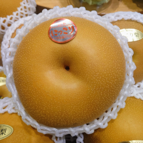 超BIGサイズ！！栃木県産『にっこり』🍐✨️