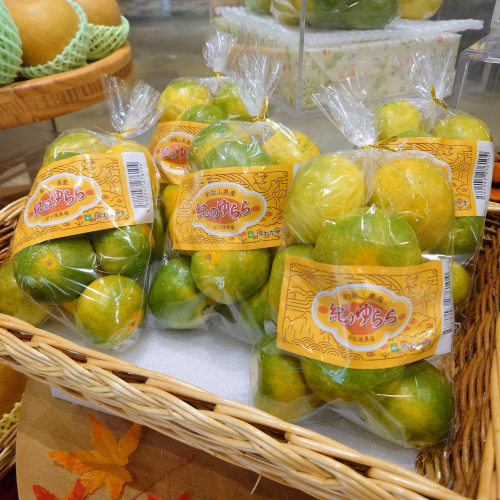 極早生みかん『紀のゆらら』🍊✨️