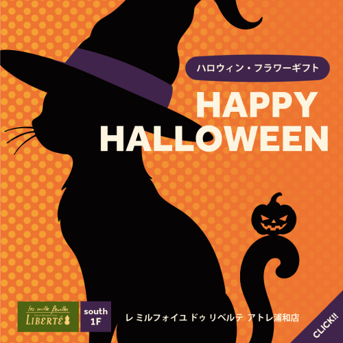 秋のお花で楽しむ、ハロウィン🎃