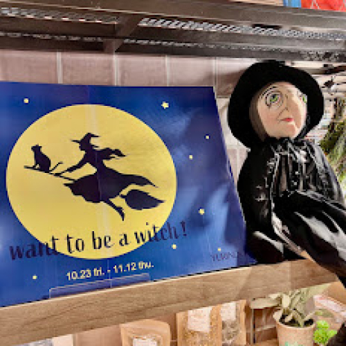 want to be a witch！